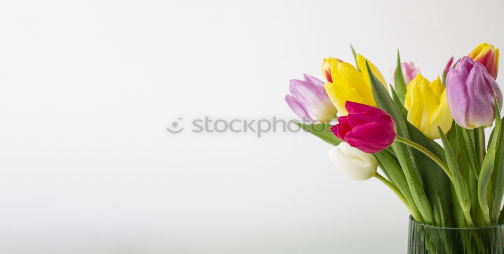 Similar – Spring Bouquet Easter Greeting Tulips