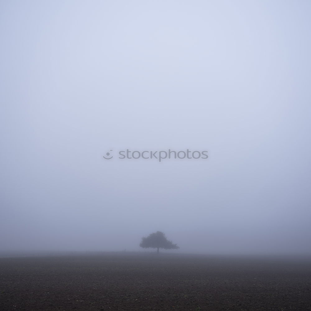 Similar – Foto Bild Einsam Feld Nebel Herbst