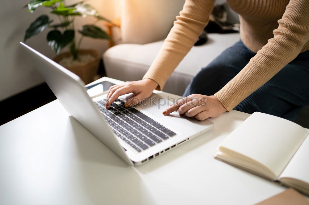 Similar – Young adult woman working on laptop in cafe