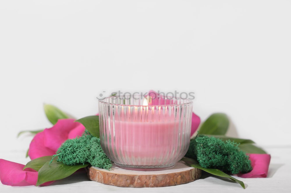 Similar – colourful spring flowers in white water bowl with three burning candles