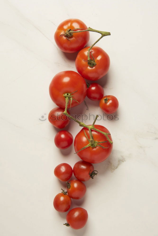 Similar – tomato Red Healthy Tomato