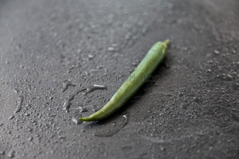 Similar – Foto Bild Auf der Durchreise. Sommer