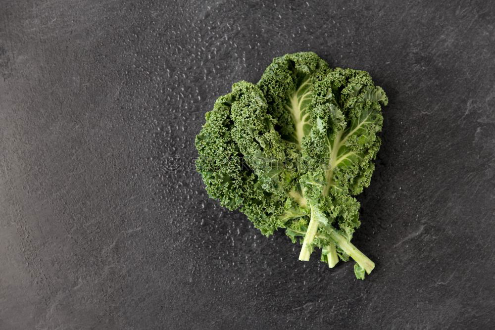 Similar – Image, Stock Photo Broccoli II Food Vegetable