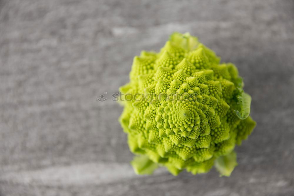 Similar – Image, Stock Photo Flower pot (ready for transport)