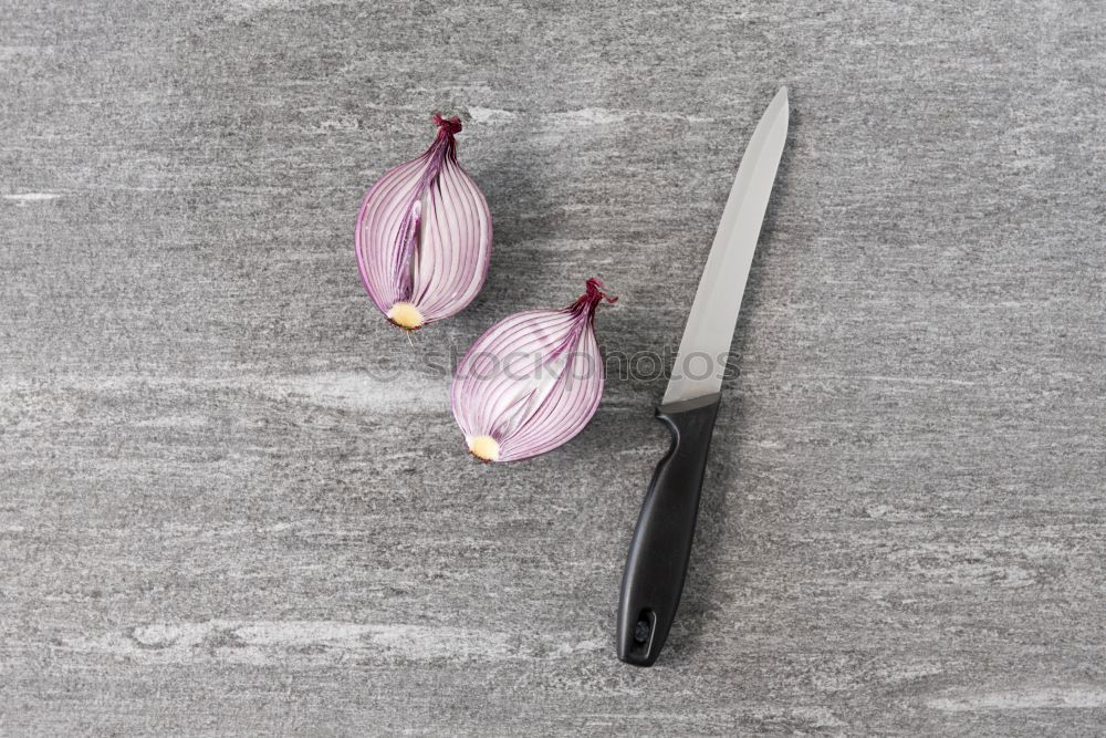 Foto Bild Drei abgeschnittene Ableger einer Pflanze mit rosa-grün gefärbten Blätter liegen auf dem Brett.