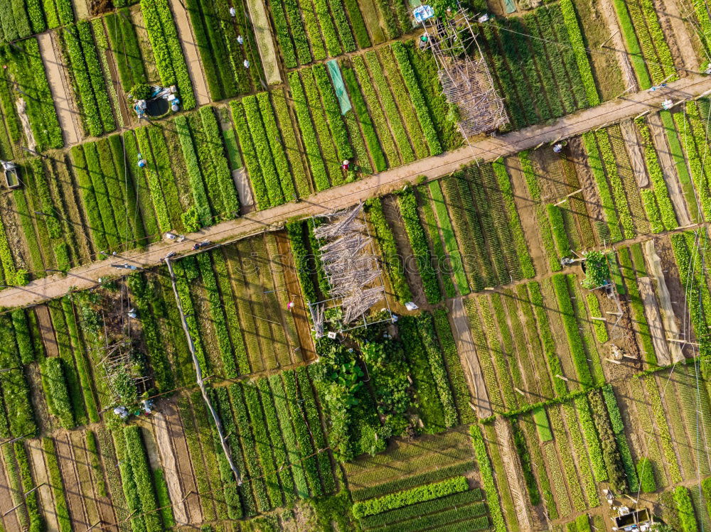 Similar – Aerial top view photo from flying drone