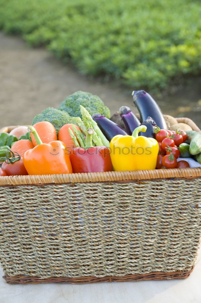 Similar – Image, Stock Photo harvest-fresh vegetables