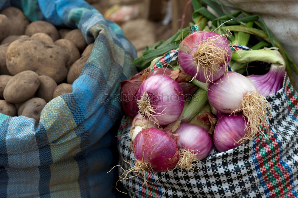 Similar – Image, Stock Photo Fresh beetroot in different varieties on an old wooden table