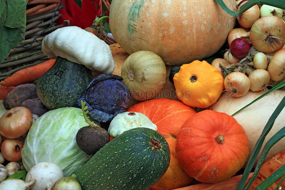 Similar – Pumpkins on the market