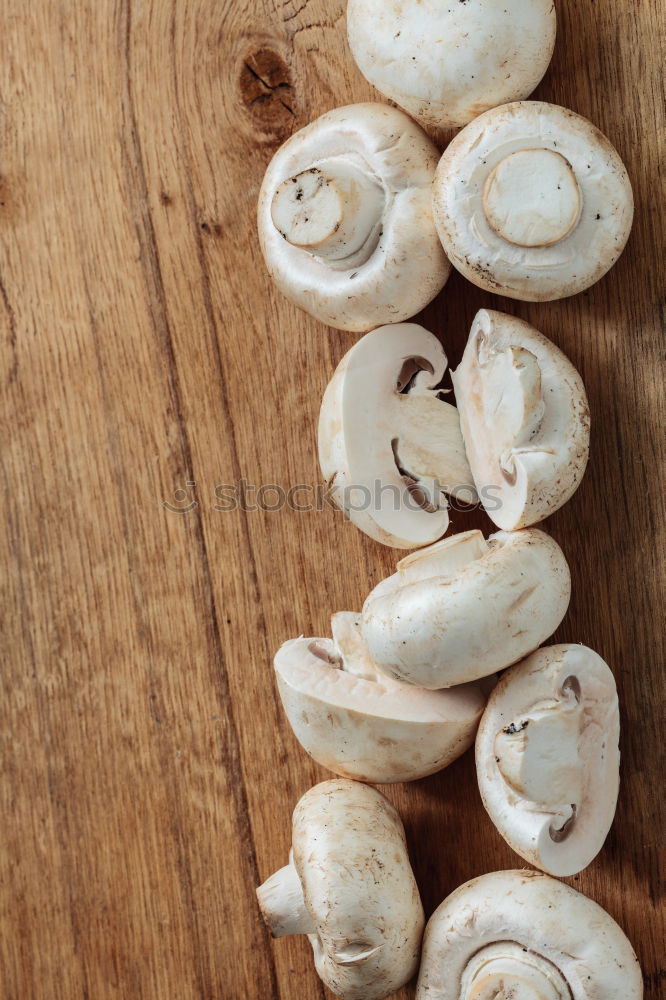 Similar – Image, Stock Photo mushroom loon Food