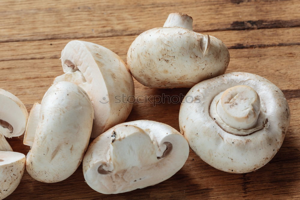 Similar – Image, Stock Photo mushroom loon Food