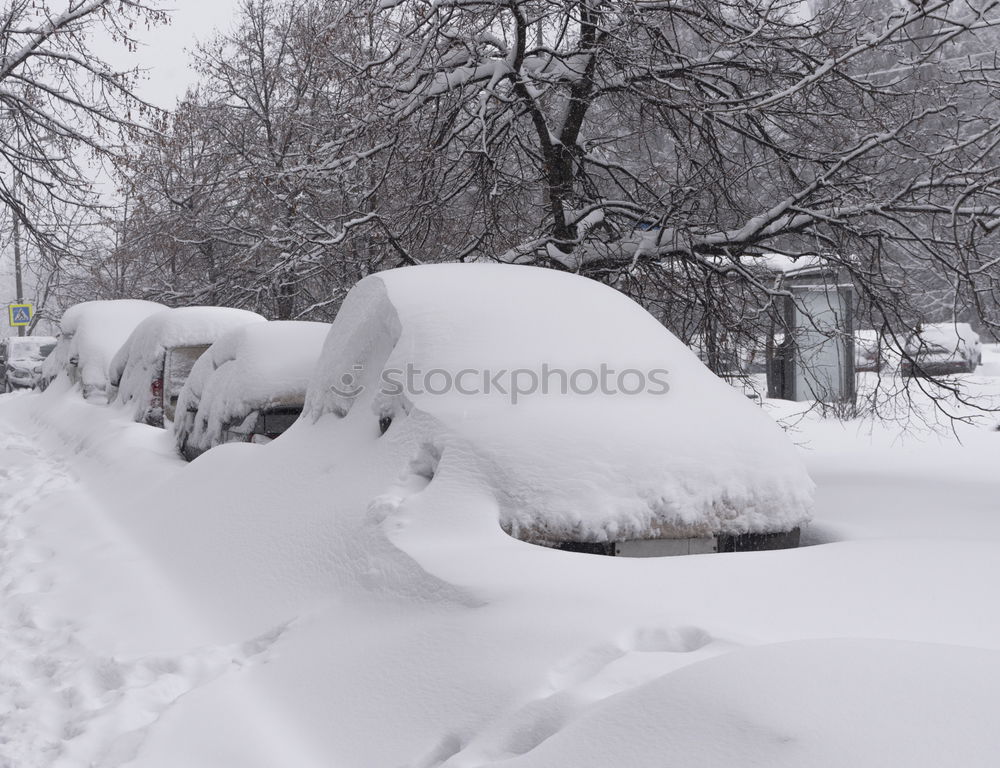 Image, Stock Photo 2 cut off windshield wipers sticking out of a car covered with snow