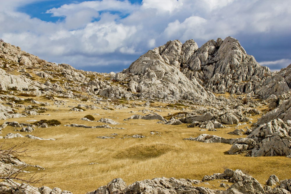 Similar – Mountaineer on a rock and cow on the grass