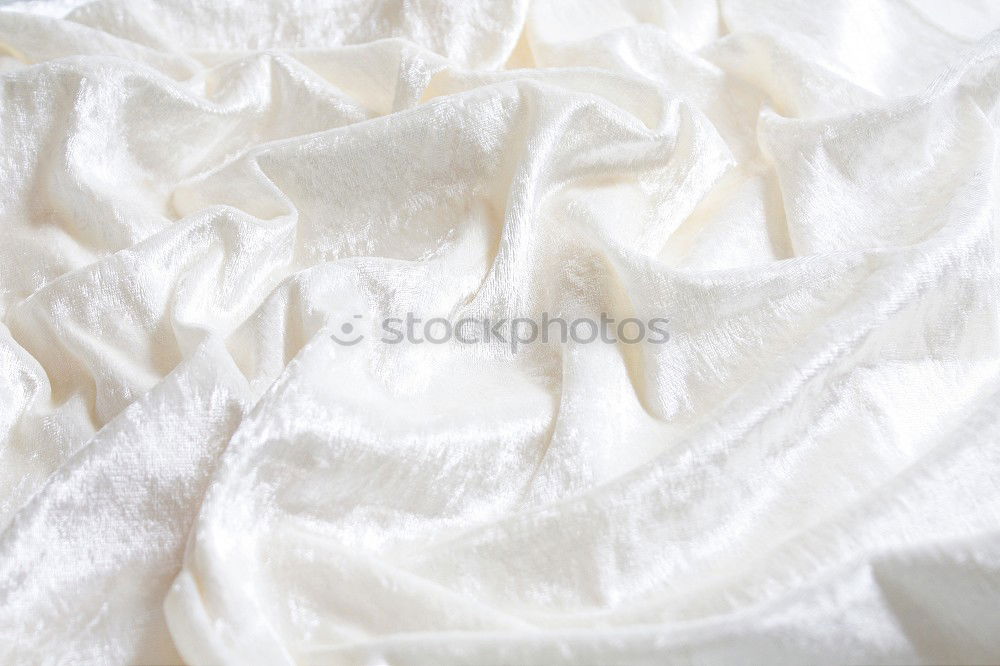 Similar – Image, Stock Photo Tired dog sleeping on bed under blanket