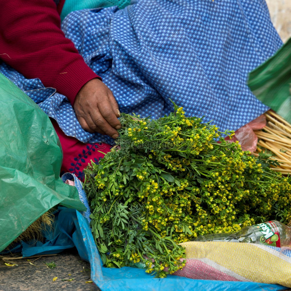 Similar – Image, Stock Photo #A# Green spice Art