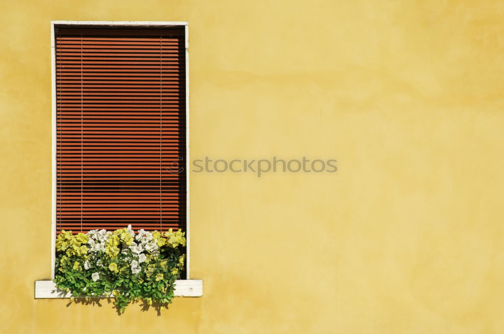 Image, Stock Photo finestra VII Art Esthetic