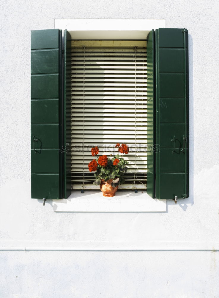 Image, Stock Photo spring Environment Plant