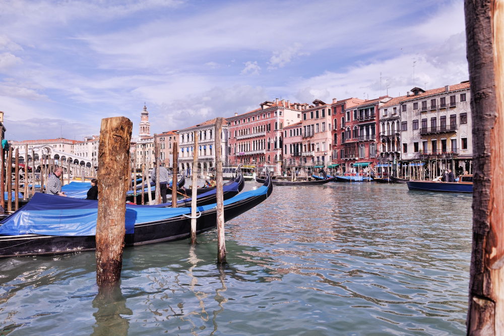 Similar – Image, Stock Photo Canal Grande