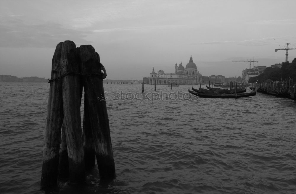 Similar – Venedig im Januar