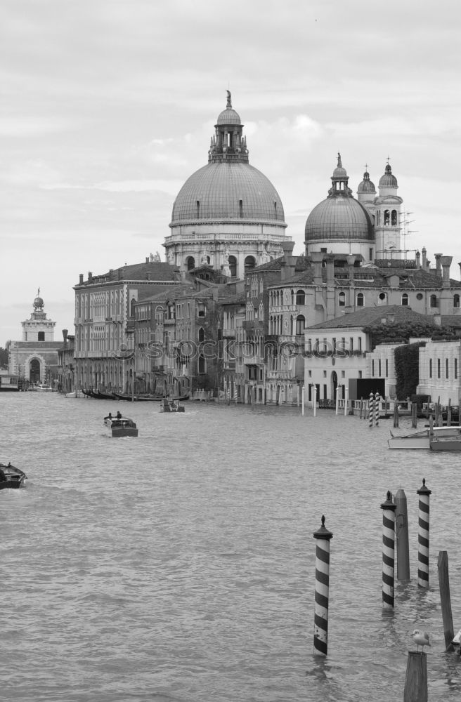Similar – Foto Bild Rialto Venedig Italien