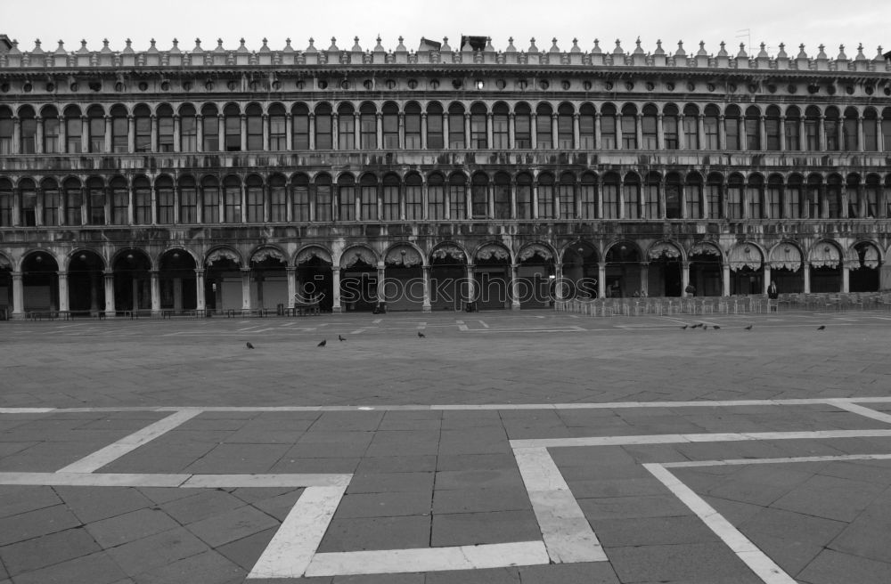 Similar – Image, Stock Photo Piazza San Marco