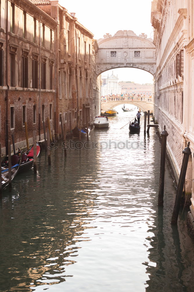 Similar – Canal Grande, Venedig