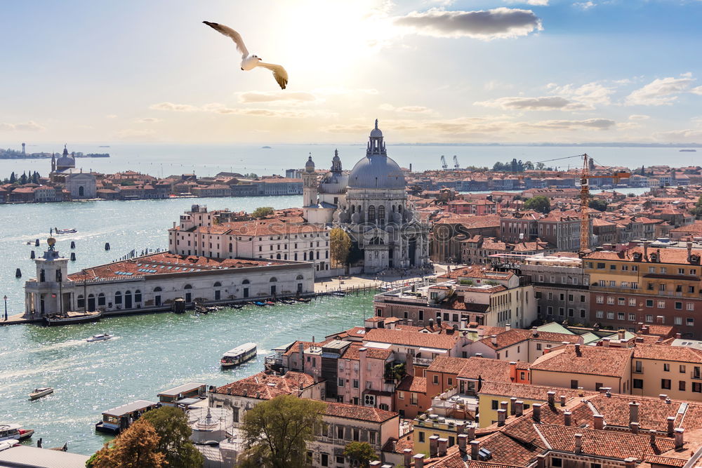 Similar – Image, Stock Photo Water channels the biggest tourist attractions in Italy, Venice.