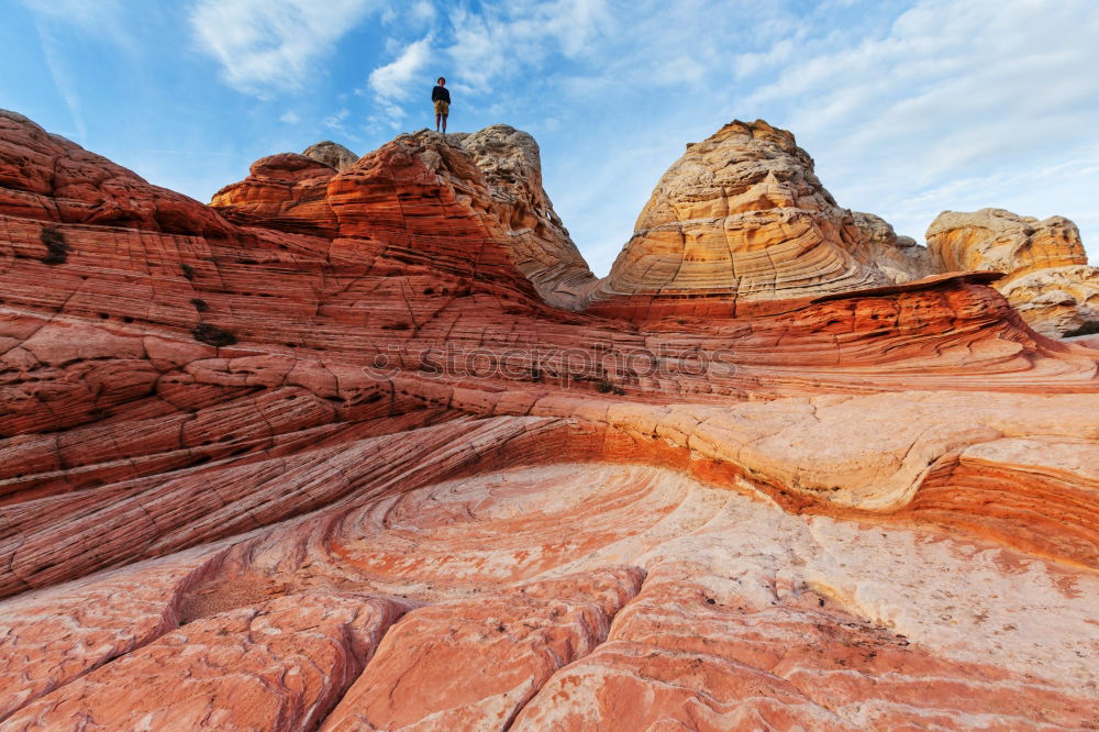 Similar – Hiker in the desert.