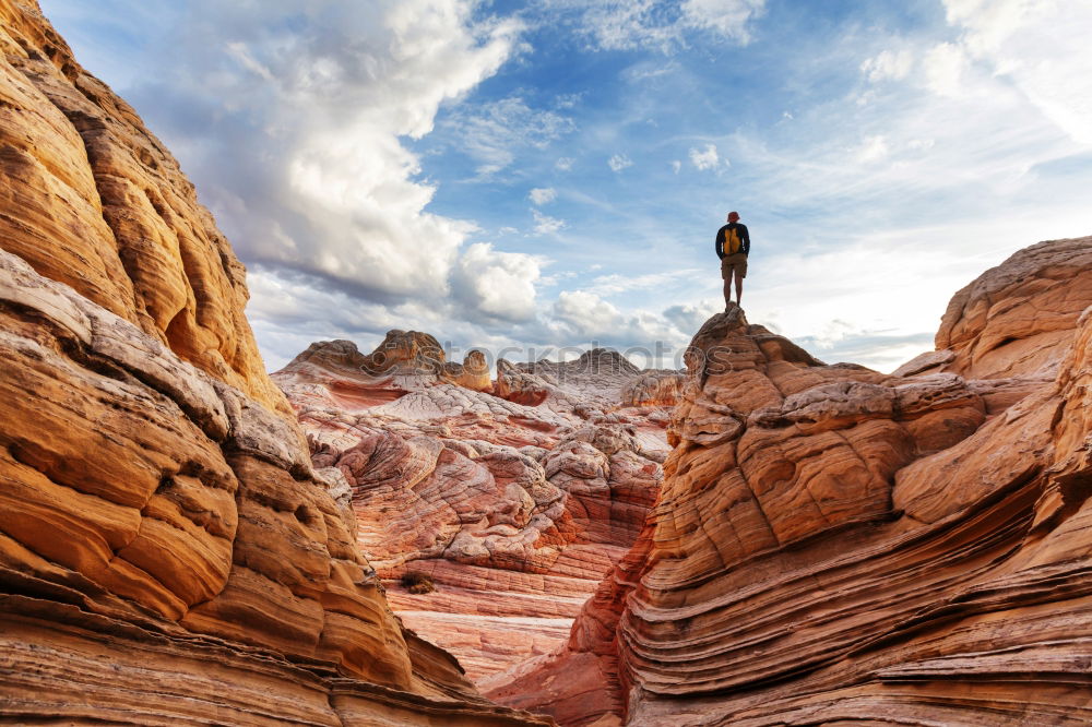 Similar – Image, Stock Photo Hikers on the summit.