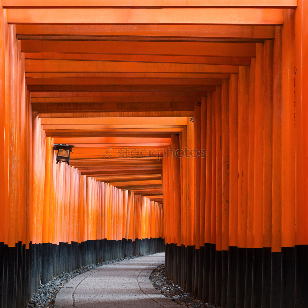 Similar – Image, Stock Photo Fushimi-Inari Shrine Kyoto