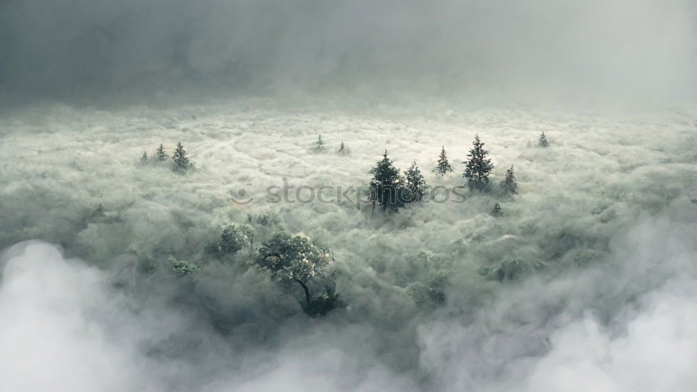 Similar – Image, Stock Photo waft of clouds Environment