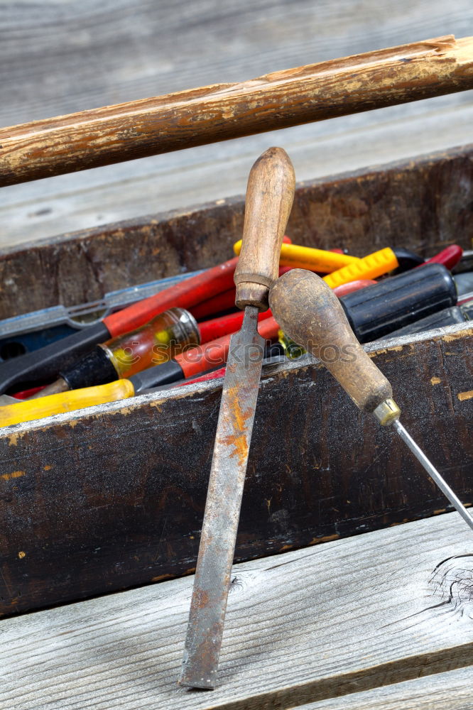 Holz ist ein Stück Lebensqualität