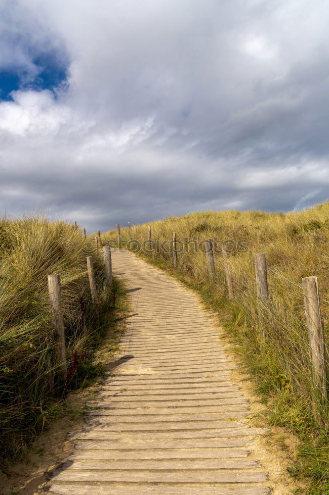 Image, Stock Photo Landscape in the dunes on the island of Amrum