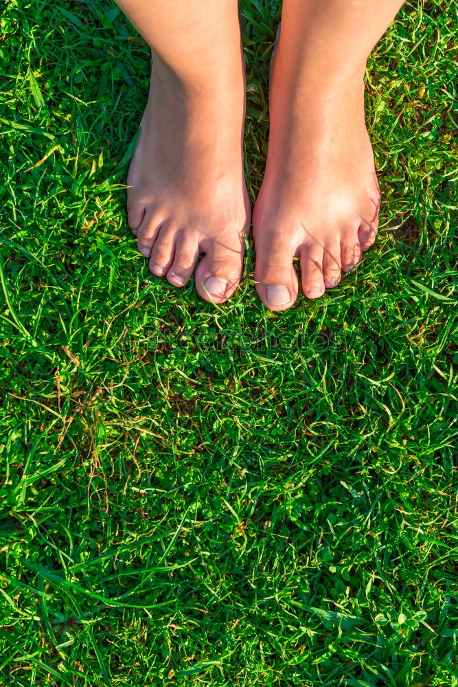 Similar – Green feet Stride Toes