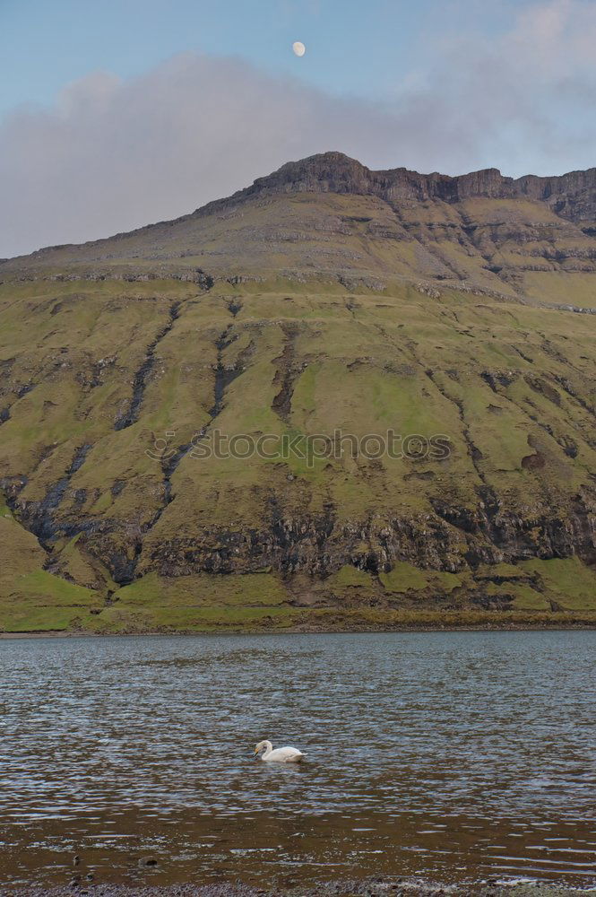 Similar – Image, Stock Photo Young woman in a red kayak, mountain lake panorama, Norway