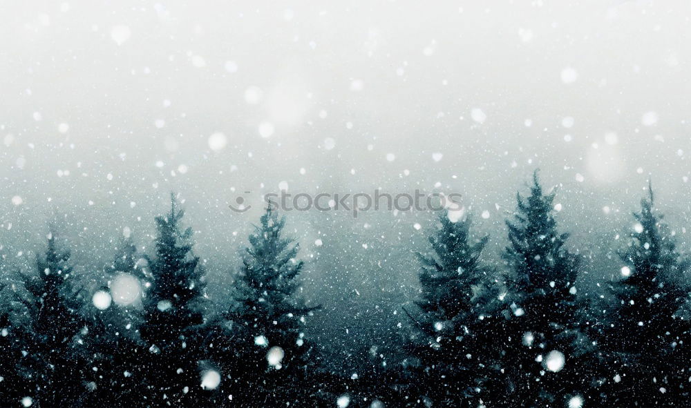 Similar – Image, Stock Photo winter Winter Ice Snowfall