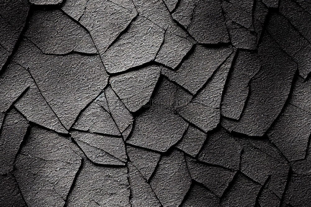 Similar – Image, Stock Photo crocodile skin Animal
