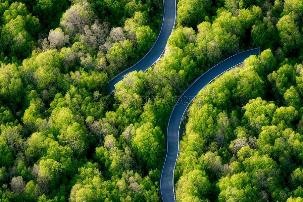 Similar – Image, Stock Photo It’s a road. Environment