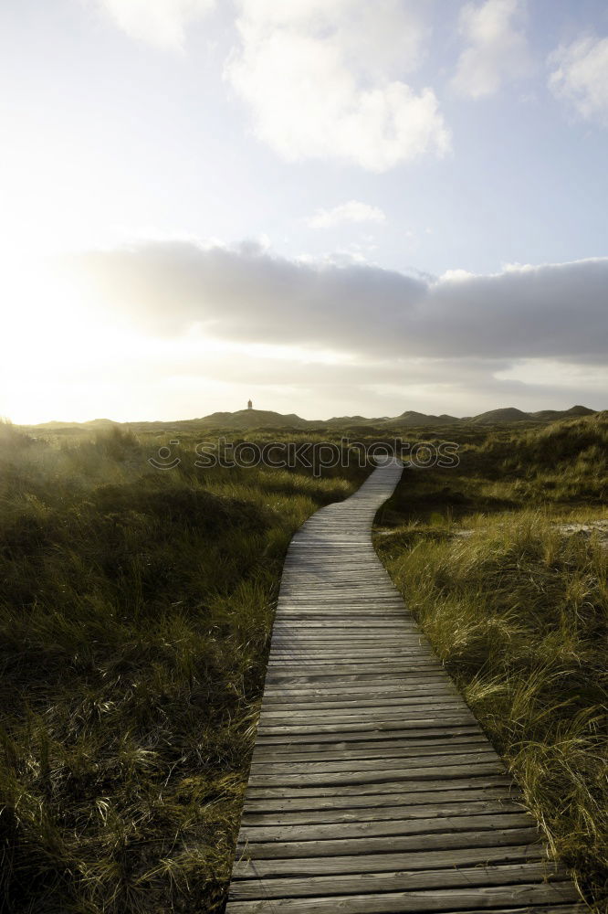 Similar – Image, Stock Photo Landscape in the dunes on the island of Amrum