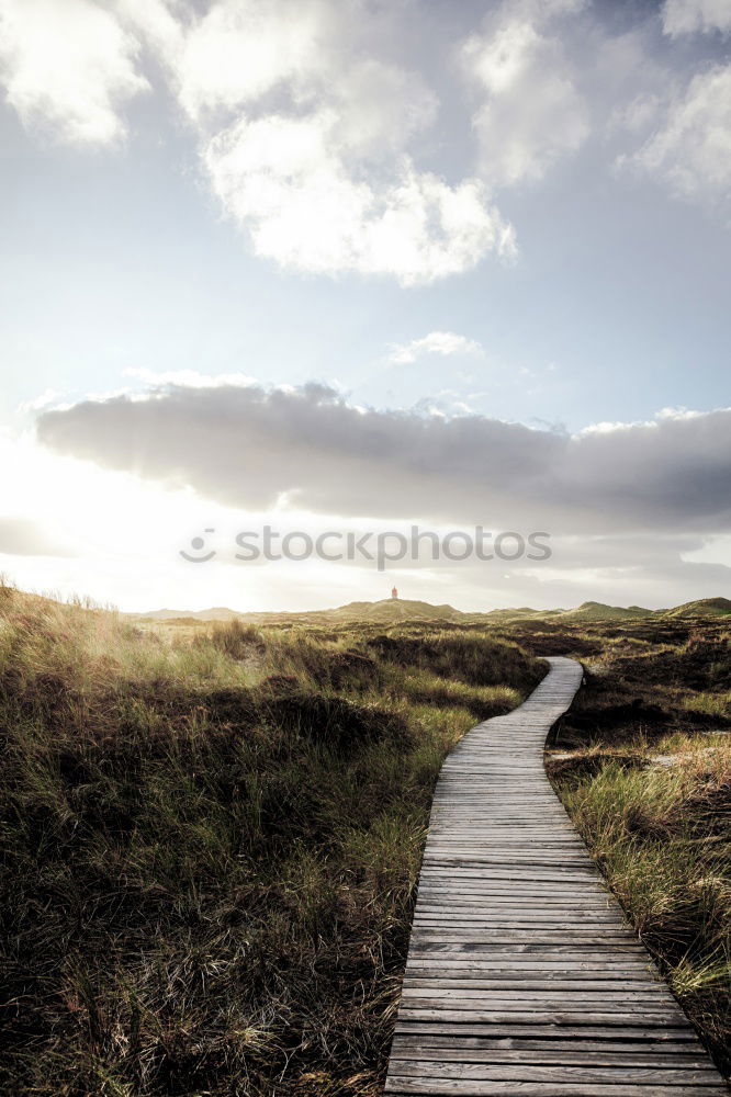 Similar – Image, Stock Photo autumn paths Nature