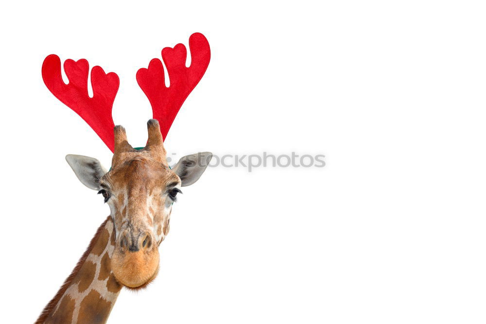 Similar – Image, Stock Photo Statue of white deer on middle finger