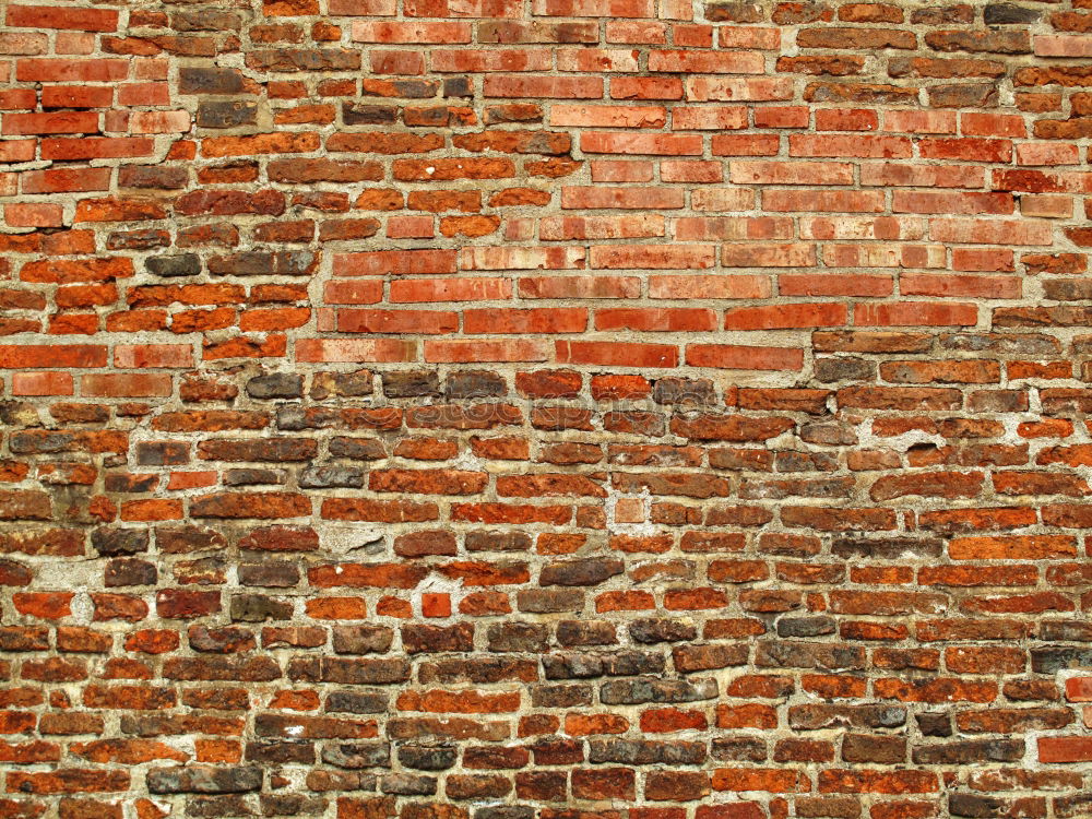 Similar – Image, Stock Photo Bricks 4-4 Wall (barrier)