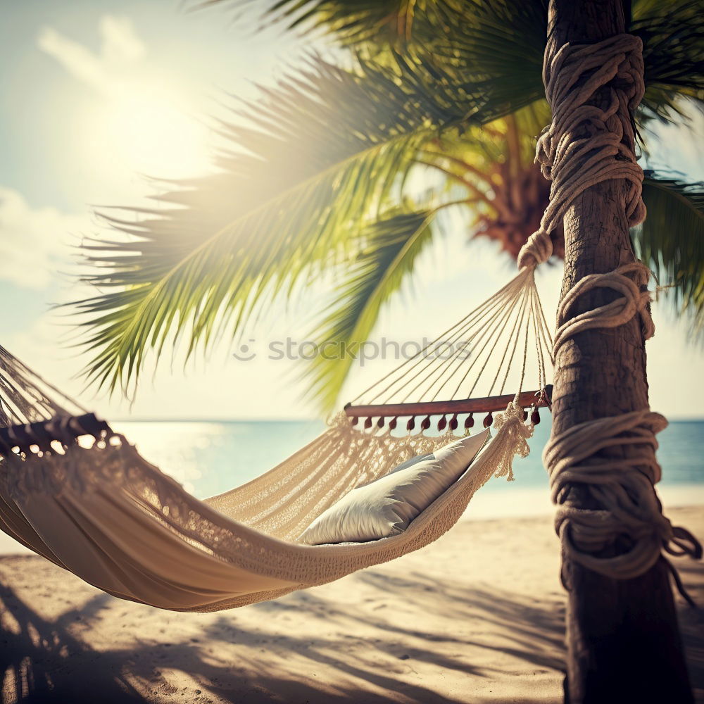 Similar – hammock Hammock