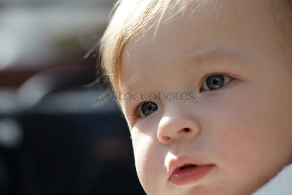 Similar – Image, Stock Photo Beautiful baby playing with her toys at carriage in a walk at park