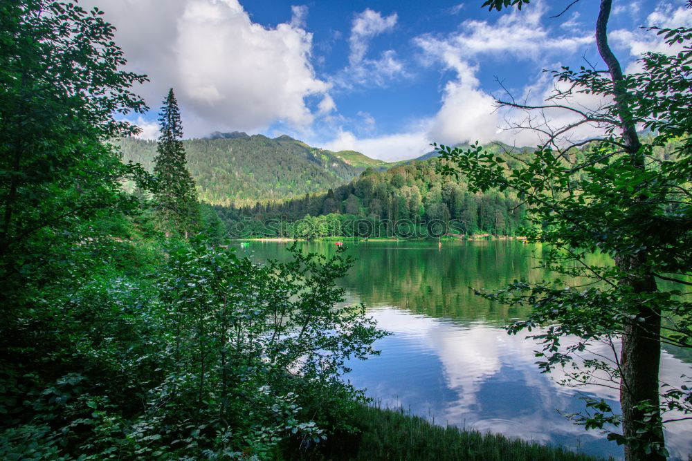 Similar – Image, Stock Photo Danube