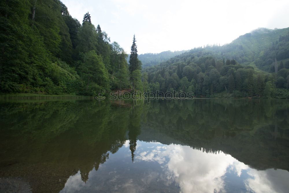 Similar – Image, Stock Photo Danube