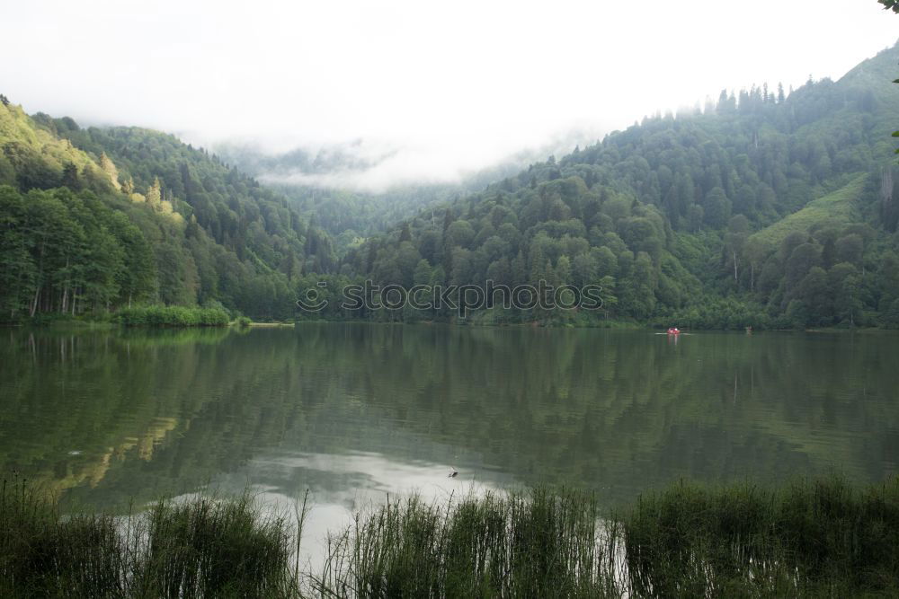 Similar – Image, Stock Photo Danube