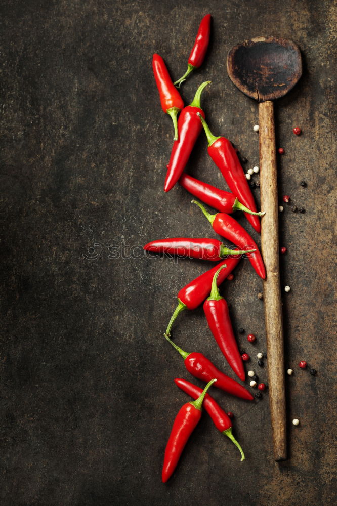 Similar – Rosemary, chopped chili and salt, wood background