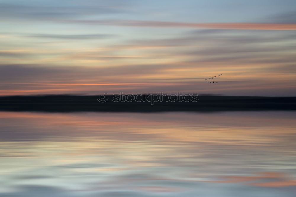 Similar – Image, Stock Photo mudflat side Well-being