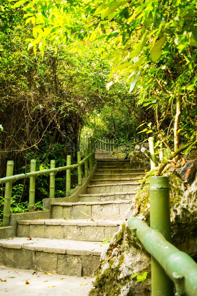 Similar – Image, Stock Photo building bridges